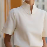 Stand Collar Minimalist Structured Blouse
